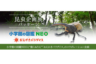 図鑑NEOとおえかきパラダイスのコラボ「昆虫企画展パッケージ」提供開始 画像