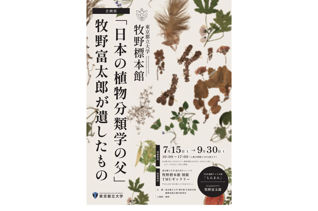 NHK「らんまん」モデル、牧野富太郎の植物標本展示…都立大 画像
