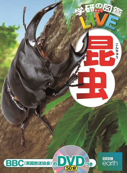 「学研の図鑑LIVE」シリーズ：昆虫