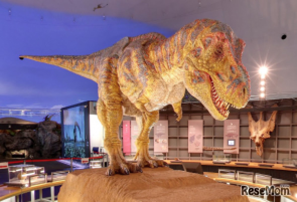 福井県立恐竜博物館の館内