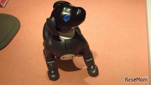 ソニーストア銀座にある自律型エンタテインメントロボット「aibo」