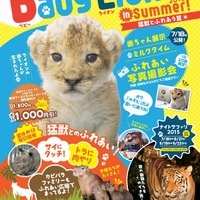 【夏休み】那須サファリパークでライオンの赤ちゃん抱っこ体験7/18より