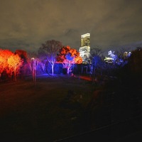 サバンナエリアのライトアップのようす　画像提供：大阪市天王寺動物園
