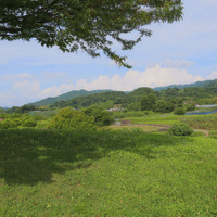 明日香村特有の原生林と集落が特徴的な里山風景
