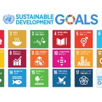 注目のキーワード「SDGs」とは？子どもたちへの影響と先駆例