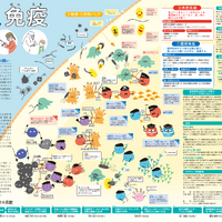 阪大、免疫学をわかりやすく伝えるポスター提供…絵本も