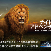 【夏休み2023】アドベンチャーワールド「NIGHT ADVENTURE2023」7-8月
