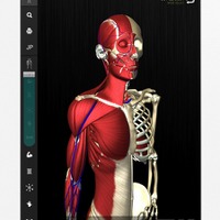骨格の動きを忠実に再現した人体解剖アプリ登場、デジタル教科書としても利用可