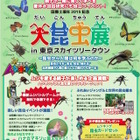【夏休み】巨大ヘラクレスも登場、スカイツリー「大昆虫展」8/25まで 画像