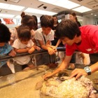 銀座ソニービル、「44th SonyAquarium 3D沖縄美ら海水族館」8/31まで 画像