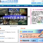 【春休み2016】京大白浜水族館「バックヤードツアー」他イベント3種 画像