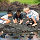 プログラムはすべて英語、5-12歳対象ハワイでサマーキャンプ 画像