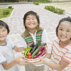 学校給食で地場産物、使用する割合は約27％…文科省調査 画像