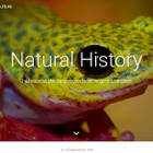 Googleバーチャルツアーに自然史コレクション追加、科博も参加 画像