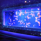 満天の星降る…夜の新江ノ島水族館「ナイトワンダーアクアリウム2017」 画像