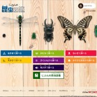 調べる＋記録する「デジタルWONDA じぶんの昆虫図鑑」