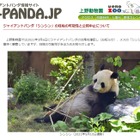 上野動物園パンダ「シンシン」2頭出産 画像