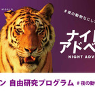 【夏休み2021】夜の動物テーマにオンラインで自由研究 画像