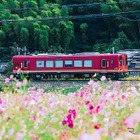 京都丹後鉄道、QR定期券・回数券…乗り越し精算もスマホで 画像