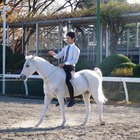 都内で手軽に乗馬体験「馬に親しむ日」…日本中央競馬会が開催