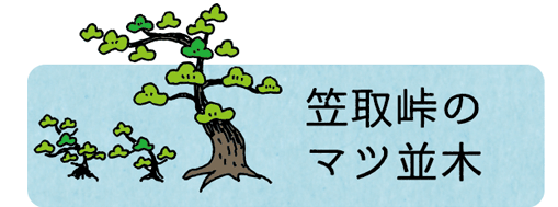 笠取峠のマツ並木
