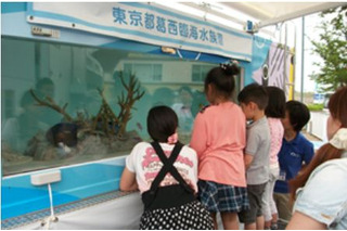葛西臨海水族園、移動水族館を開始…訪問先を6/11より募集 画像