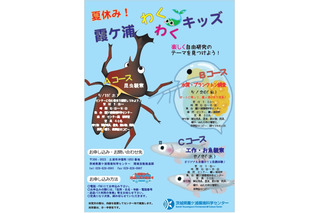 【夏休み】小中学生対象、霞ヶ浦で特別イベント…生き物の観察や水質を学ぶ 画像