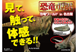 【夏休み】本物の化石にタッチ、名古屋最大級恐竜博8/15-16 画像