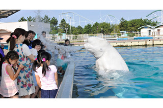 【夏休み】八景島シーパラ、水かけ納涼イベント「アイランドサマー’15」開催 画像