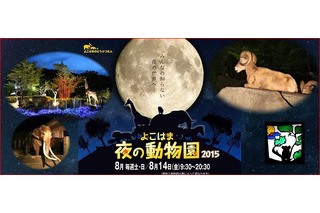 【夏休み】子どもと行きたい夜の動物園まとめ…横浜3園 画像