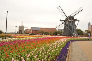 世界一流の花と庭が勢ぞろい、ハウステンボスにて10/3から 画像