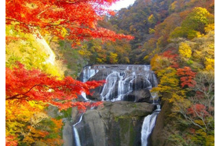 行楽シーズン到来、日本の滝ランキング発表 画像