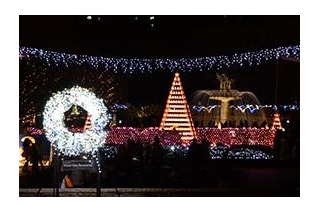 【冬休み】親子でイルミネーションの中を走る、国営昭和記念公園12/26 画像