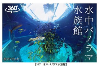 ダイバーと花火師を疑似体験…フジテレビ、360度動画提供開始 画像