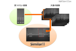 学術論文の画像不正転用を検出、LPixelが開発 画像