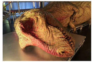 ナガシマスパーランドにナショジオ「恐竜大解剖」ティラノ標本 画像