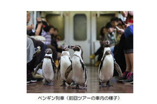 近鉄、ペンギン列車で行く志摩マリンランド・ツアー 画像