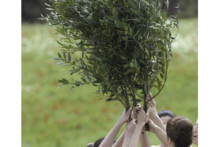 【GW2016】当日参加OK、オリーブを運ぶ「植樹リレー」目黒区・自由が丘 画像