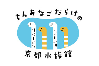 11/11はチンアナゴの日、京都水族館でポッキーコラボも 画像
