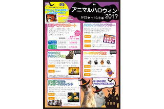 スタンプラリーやワークショップ、オービィ横浜「アニマルハロウィン2017」 画像