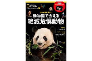 日本で見られる40種を紹介「動物園で会える絶滅危惧動物」 画像