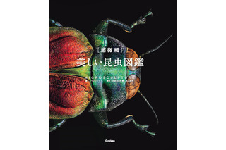 丸山宗利監修、学研プラス「美しい昆虫図鑑」ダーウィンの名品も収録 画像