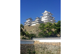 旅好きが選ぶ日本の城ランキング2018、1位は別名「白鷺城」 画像