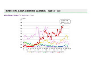 都内でりんご病が流行、感染予防策の徹底を 画像