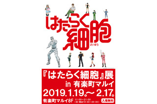 「はたらく細胞」展、有楽町マルイにて1/19－2/17開催 画像