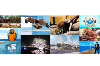【GW2019】横浜・八景島シーパラダイス、10連休を満喫できるイベントを開催 画像