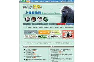 上野動物園のパンダをライブ中継、パンダ大使募集も 画像
