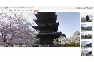 Google、全国8エリアの桜の名所をストリートビューで特集 画像