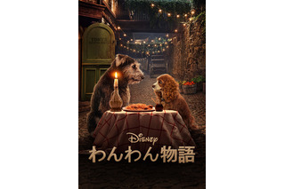 ディズニー「わんわん物語」実写版、日本初登場 画像