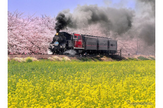 真岡鐡道、蒸機機関車とディーゼル機関車が併結12/20 画像